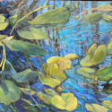 Six Mile Cypress Slough, FLA, 18x24 oil on canvas $875